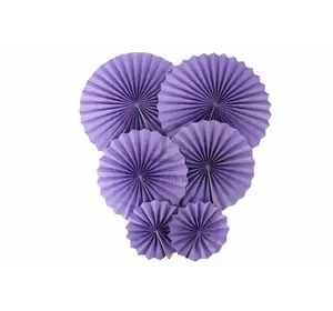 Набір гармошок "Violet" (5-39609)