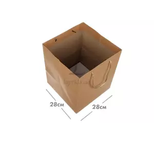 Пакет картонный вертикальный (28*42*28см) 210г/м² 2-66926656